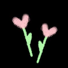 two pink flowers with green stems on a black background