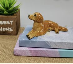 a ceramic dog laying on top of a bed next to a succulent plant