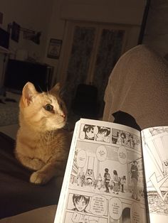 an orange cat sitting on top of a couch next to a comic book with pages spread out