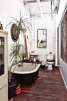 a bathroom with a claw foot bathtub and potted plants