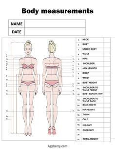 the body measurements chart for women