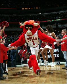 the chicago bulls mascot is running down the court with cheerleaders in red and white