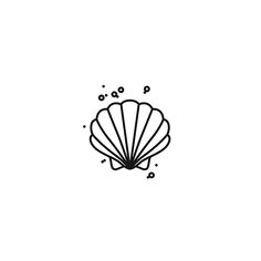 a black and white drawing of a seashell on a white background, with bubbles coming out of the shell