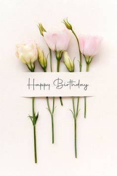 three pink roses are sitting next to each other on a white card that says happy birthday