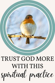 a bird sitting on top of a branch with the words trust god more with this spiritual practice