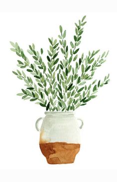 a watercolor painting of some green plants in a vase