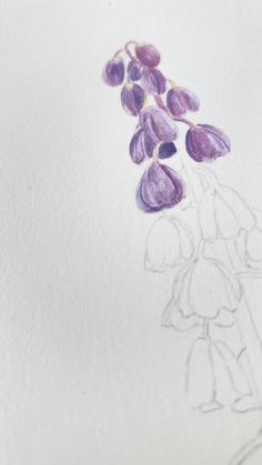 a drawing of purple flowers in a vase with watercolor pencils on white paper