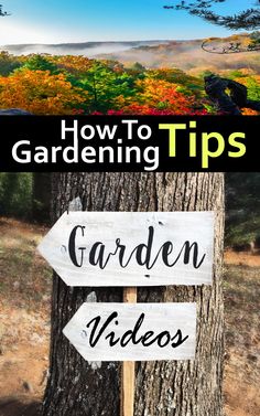 Gardening Videos How To Gardening Tips Planting Hacks Videos, Gardening Tiktok, Preparing Garden Beds, Gardening Tips And Tricks, Greenhouse Construction, Gardening Videos, Growing Garden, Unique Garden Decor