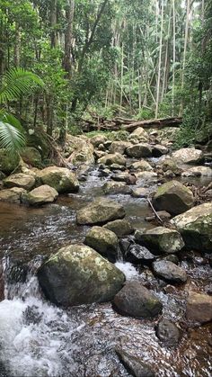 a stream running through a forest filled with lots of rocks and trees on top of it