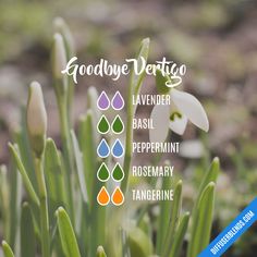 Goodbye Vertigo | DiffuserBlends.com Spring Diffuser Blends, Essential Oil Combinations, Essential Oil Diffuser Blends Recipes, Essential Oil Diffuser Recipes, Yl Essential Oils, Oil Diffuser Recipes, Essential Oil Blends Recipes, Essential Oil Mixes, Essential Oil Benefits