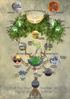 the tree of life has many different symbols on it