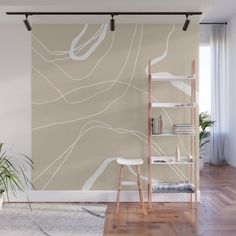 a living room wall with a plant and bookshelf next to it on a wooden floor