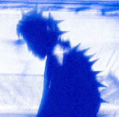 a blurry image of a person standing in front of a screen with the shadow of a plant on it