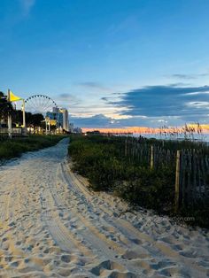 a sandy path leading to the beach with ferris wheel in the background