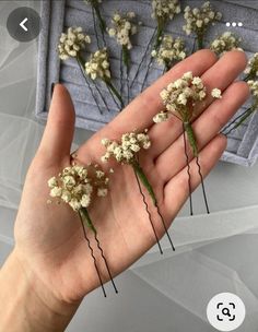 small white flowers are held in the palm of someone's hand