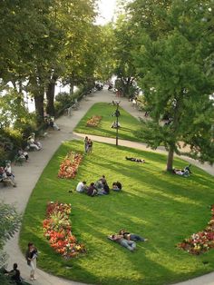 people are sitting on the grass in a park