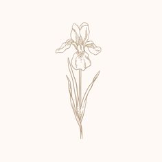 a drawing of a flower on a white background