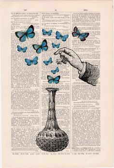 an open book with blue butterflies flying out of it and a hand reaching for something