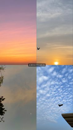 three different pictures with birds flying in the sky at sunset, and one is looking up