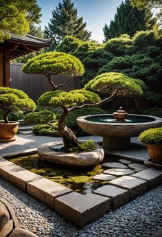 a bonsai garden with rocks and trees