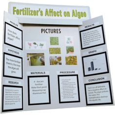 a display board with pictures and information about the different types of plants in their life cycle