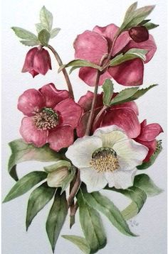 a painting of pink and white flowers with green leaves