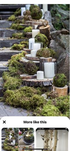 an image of moss growing in pots on the side of a road with text that reads, more like this