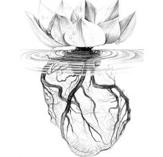 a drawing of a water lily floating on top of a body of water with its roots in the water