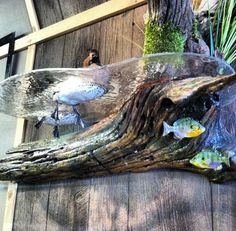 there is a glass fish bowl on top of a tree branch that has been carved into it