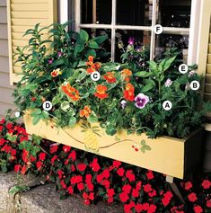 a window box filled with lots of flowers