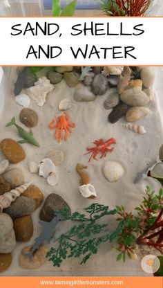 sand, shells and water is an easy science activity for kids to learn about the ocean