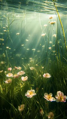 the sun shines through the water over some flowers