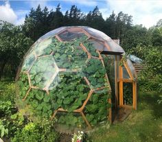 a large glass dome with plants growing inside in the middle of it, surrounded by greenery