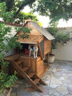 a dog house built into the side of a building with stairs leading up to it