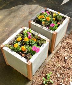 two cement planters with colorful flowers in them