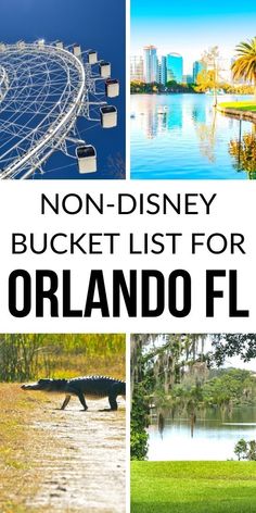 the disney bucket list for orlando florida