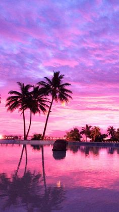 palm trees are reflected in the water at sunset, with pink and purple skies above