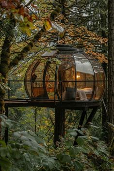 a glass house in the middle of some trees