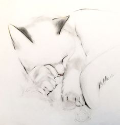 a drawing of a cat sleeping on its side