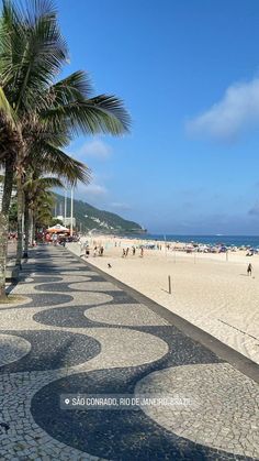 people are walking on the beach near palm trees