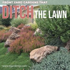 the front yard garden that ditch the lawn is full of plants and rocks with text overlay