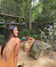 a woman in an orange dress looking at two parrots