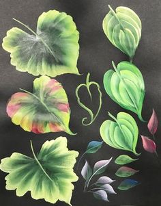 a painting of leaves and other plants on a black paper sheet with watercolor pencils