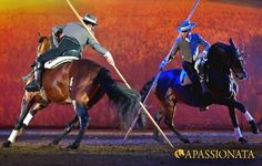 two men on horses are playing polo in front of a red wall and orange light