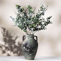 a vase filled with green plants on top of a table