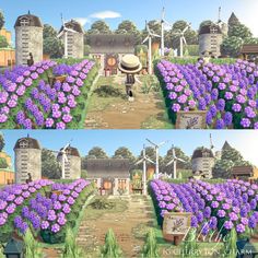 there are two pictures of purple flowers in front of the windmills and farm buildings