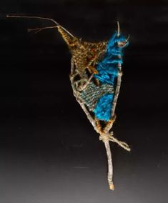 a blue and yellow insect on a black background