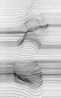 an abstract drawing with lines in the shape of waves and a bird flying over it