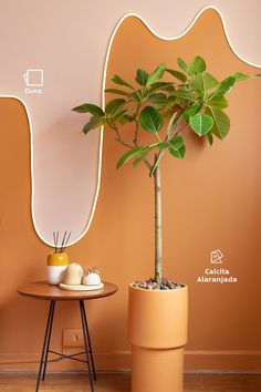 a potted plant sitting on top of a wooden table next to a round mirror