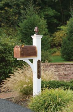 the mailbox is in front of some bushes